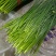 寿光韭菜苔大量出售，质量好价格稳定，新鲜上市。欢迎客户合作