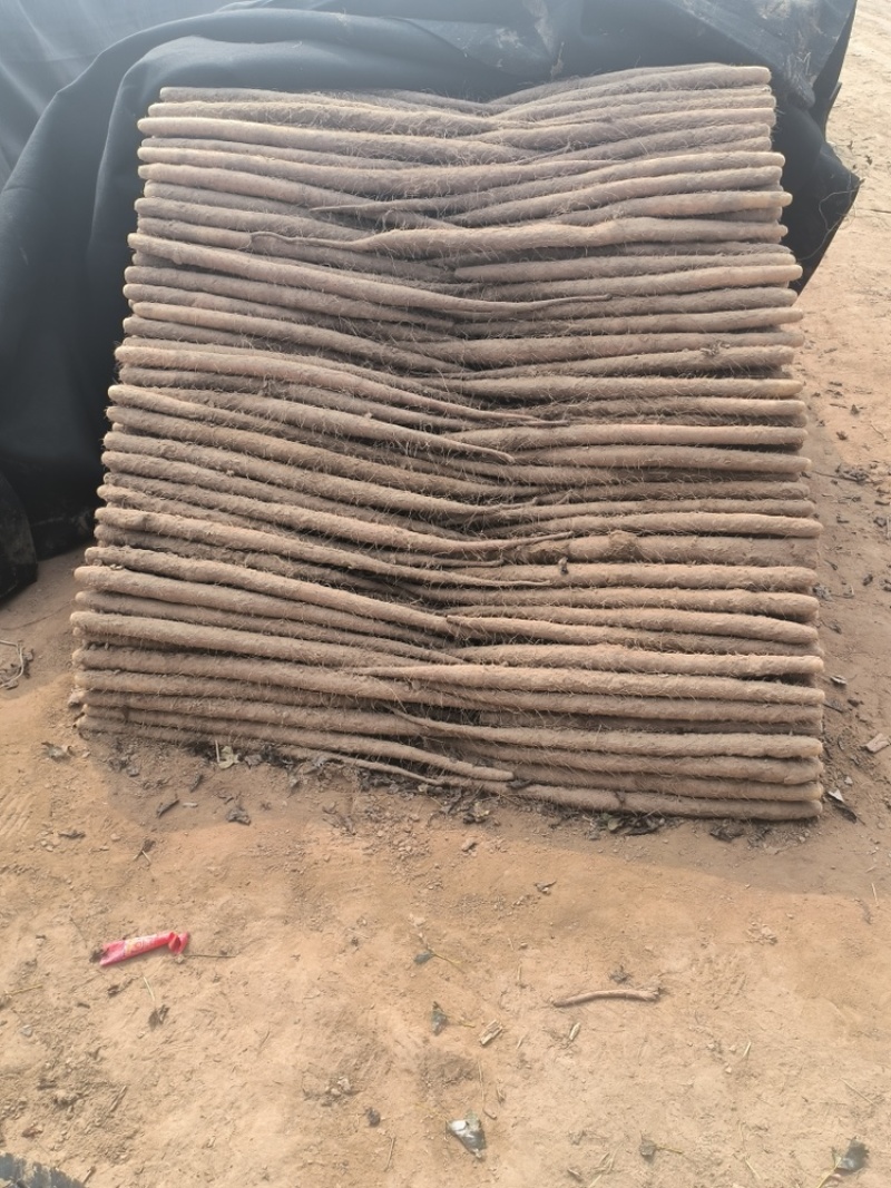 麻山药，产地直发，大量有货，欢迎各位老板咨询采购