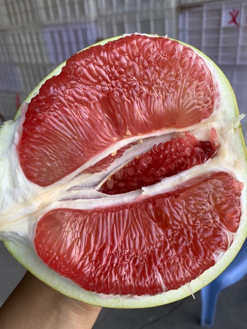 红心柚柚子三红柚平和琯溪蜜柚质量保证准时发货！