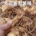 多花姜型黄精