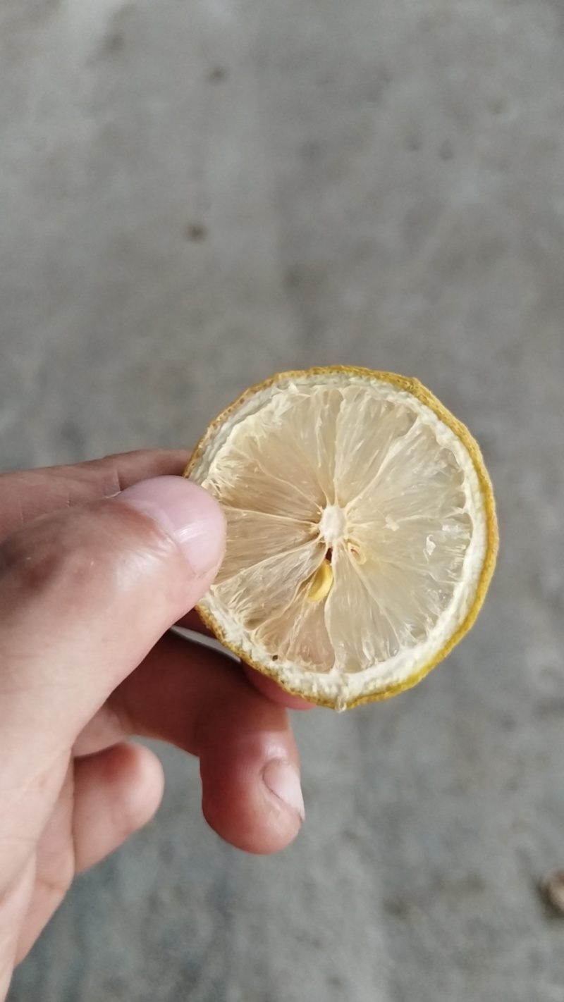 网红柠檬茶香水柠檬干厂家直销