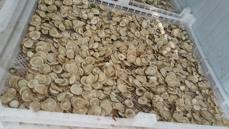 网红柠檬茶香水柠檬干厂家直销