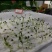 沙打旺种子多年生牧草绿肥草护坡草耐寒耐旱耐盐碱