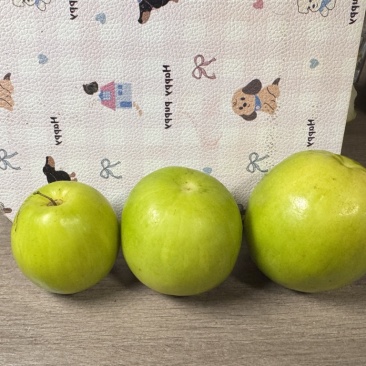 西双版纳苹果枣