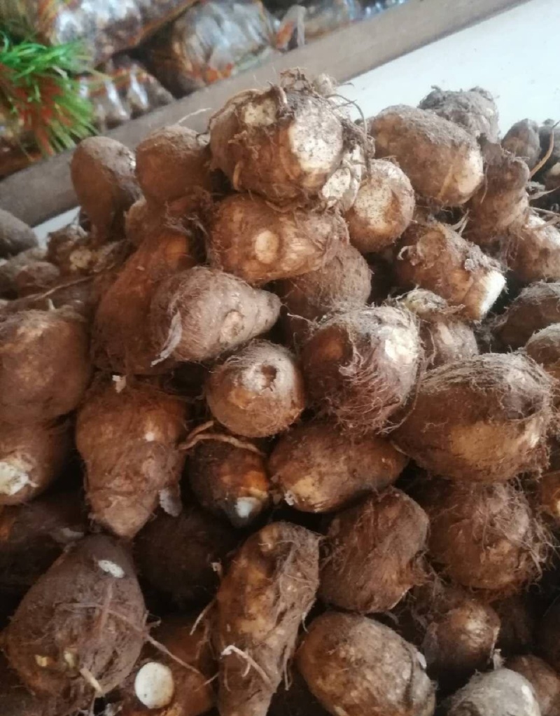 8520毛芋头大量上市产地一手货源全国发货
