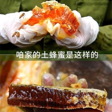 蜂蜜土蜂蜜天然土蜂蜜支持一件代发货源充足欢迎咨询