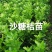 金桔苗碰柑苗龙晚苗砂糖橘苗沃柑苗红肉柚子苗