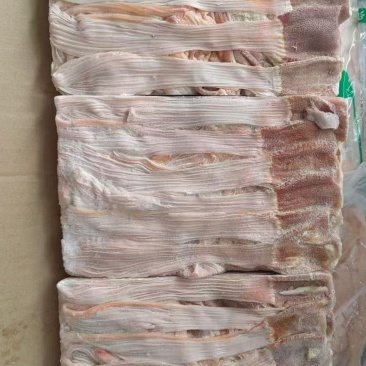 麻鸭食带