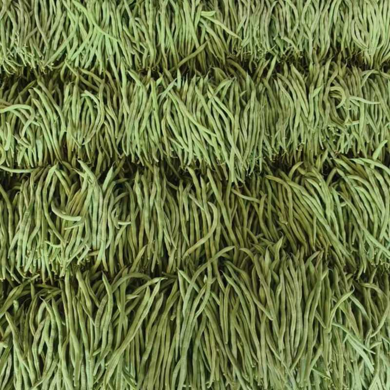 甘肃豆角架豆王大量上市，欢迎来电咨询