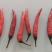 小米辣