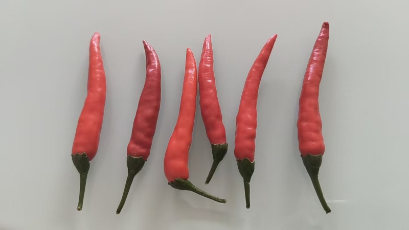 小米辣