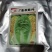 精品白菜苗黄心白菜苗夏阳白菜苗包头白菜苗量大从优