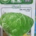 精品白菜苗黄心白菜苗夏阳白菜苗包头白菜苗量大从优