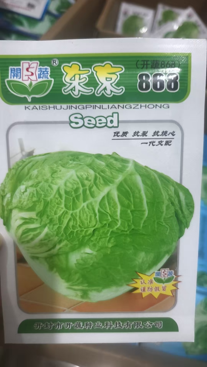 精品白菜苗黄心白菜苗夏阳白菜苗包头白菜苗量大从优