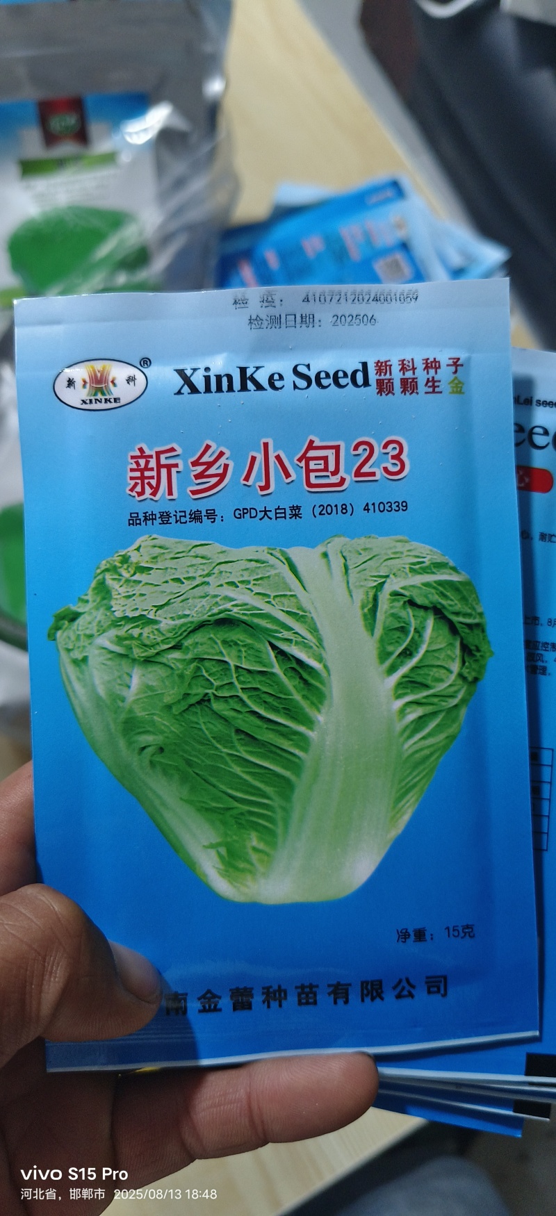 精品白菜苗黄心白菜苗夏阳白菜苗包头白菜苗量大从优
