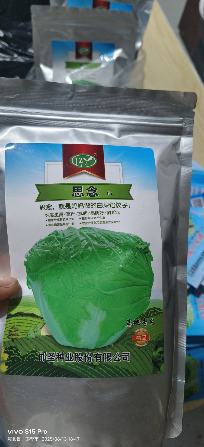 精品白菜苗黄心白菜苗夏阳白菜苗包头白菜苗量大从优