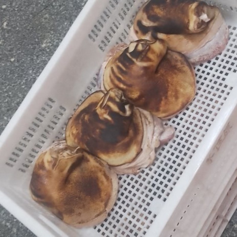 全国发货，屠宰场直供猪手（标猪）