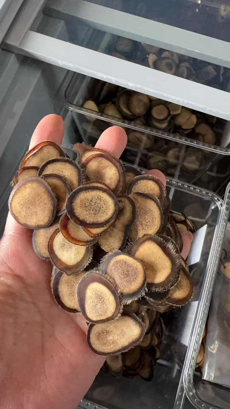 长白山鹿场鹿茸片优质粉片半腊片，品质有保障，产地直发