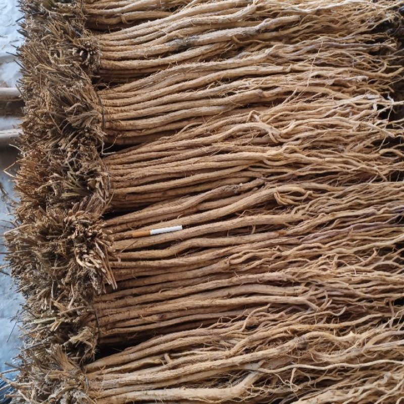 甘肃产地关防风，保质保量，现货现发，量大从优