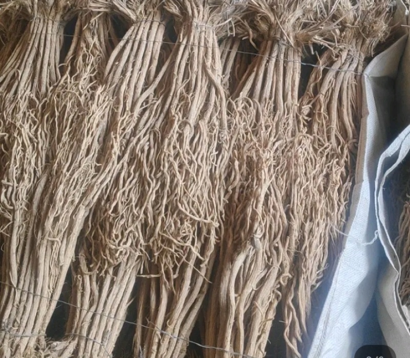 甘肃产地关防风，保质保量，现货现发，量大从优