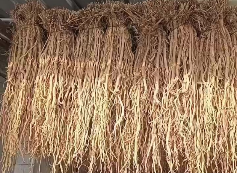 甘肃产地关防风，保质保量，现货现发，量大从优