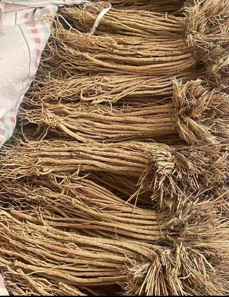 甘肃产地关防风，保质保量，现货现发，量大从优