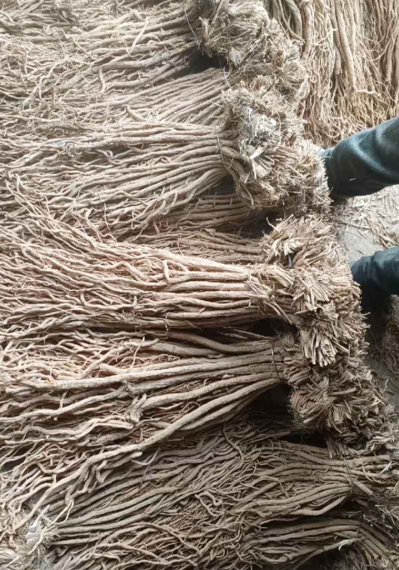 甘肃产地关防风，保质保量，现货现发，量大从优