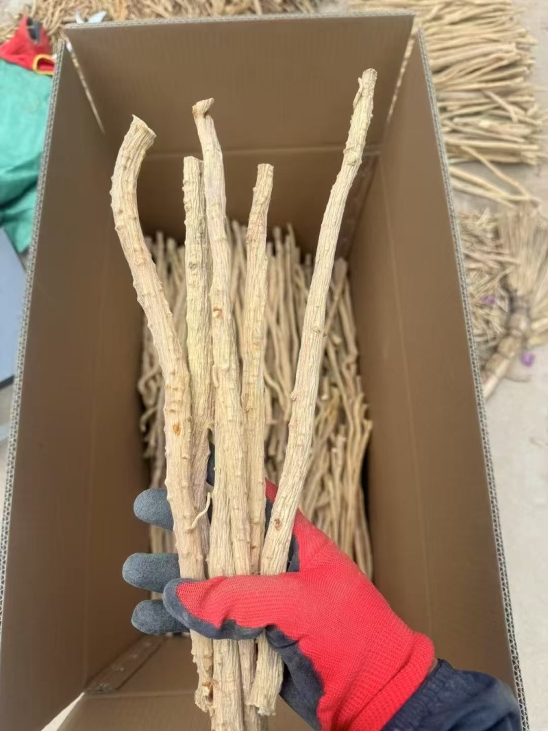 甘肃关防风去头去尾精品货，常年大量供应产地直销，量大从优