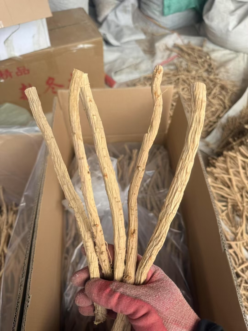 甘肃关防风去头去尾精品货，常年大量供应产地直销，量大从优