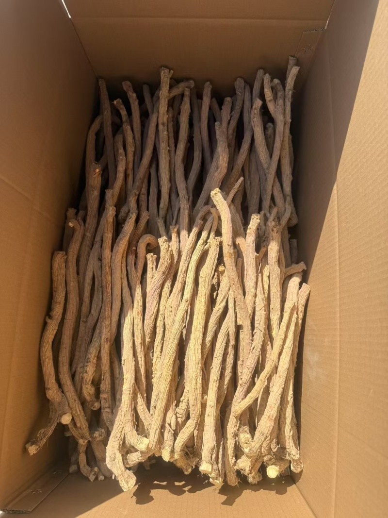 甘肃关防风去头去尾精品货，常年大量供应产地直销，量大从优