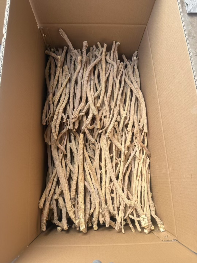 甘肃关防风去头去尾精品货，常年大量供应产地直销，量大从优