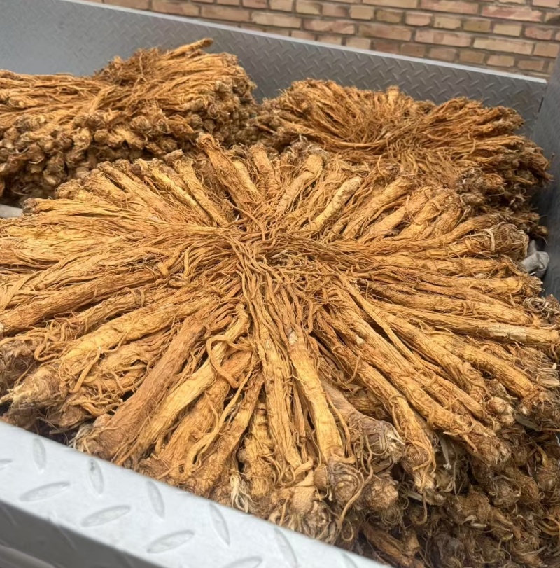 独活水洗货产地直供，量大从优，物美价廉，长期供货欢迎选购