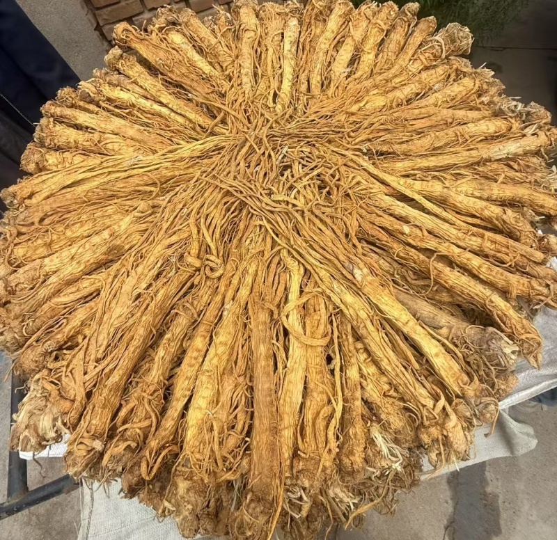 独活水洗货产地直供，量大从优，物美价廉，长期供货欢迎选购