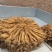 独活水洗货产地直供，量大从优，物美价廉，长期供货欢迎选购