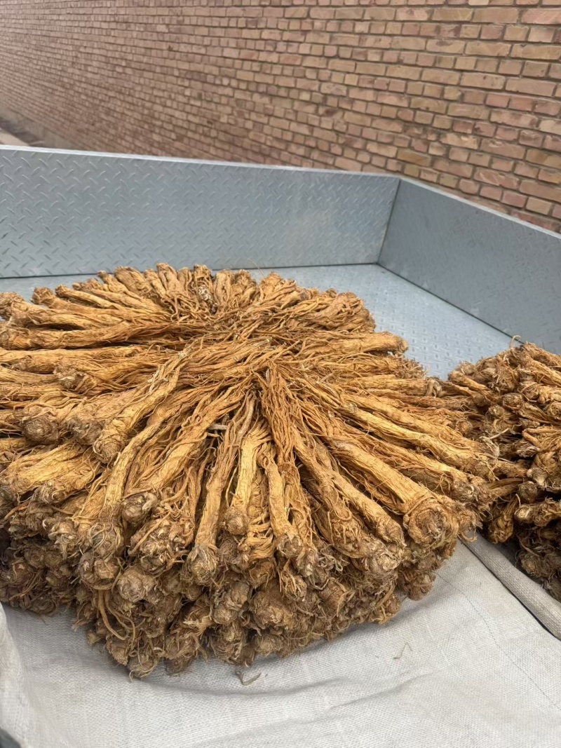 独活水洗货产地直供，量大从优，物美价廉，长期供货欢迎选购