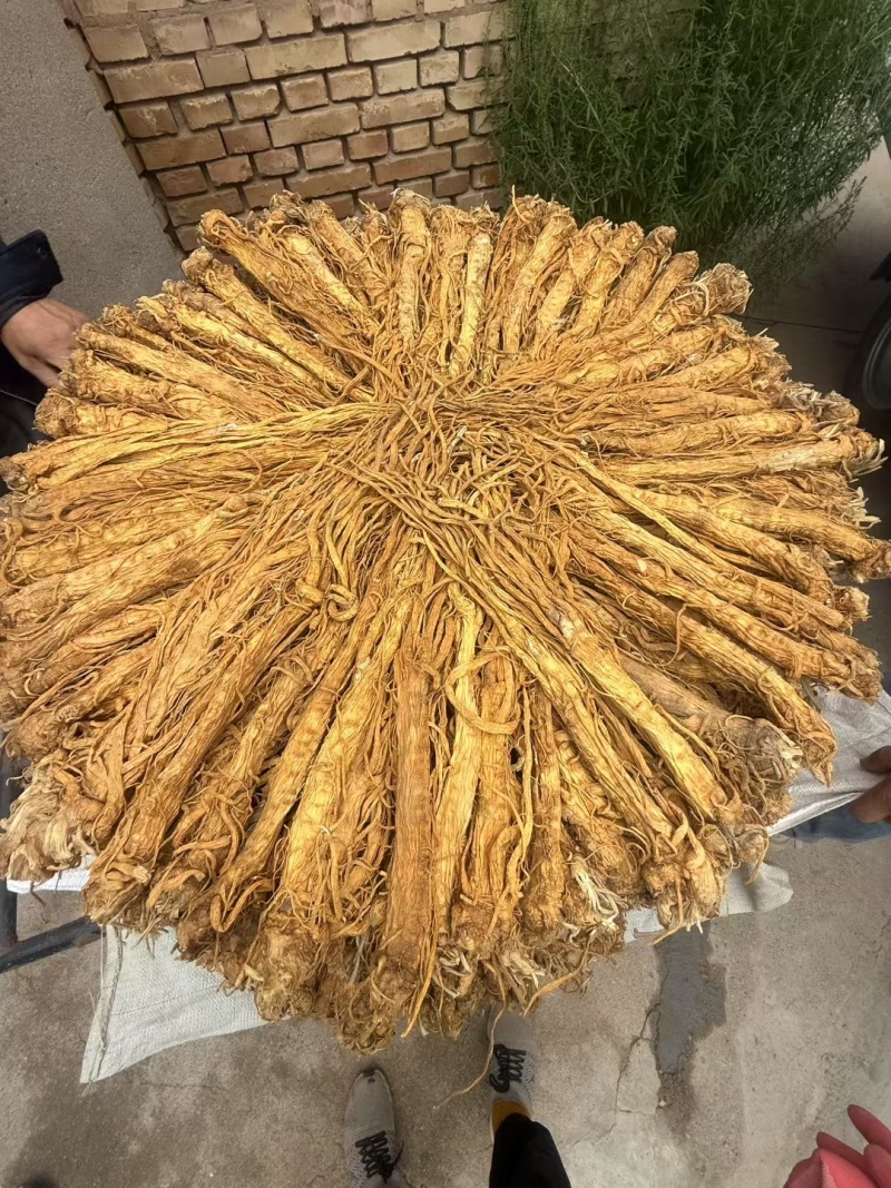 独活水洗货产地直供，量大从优，物美价廉，长期供货欢迎选购