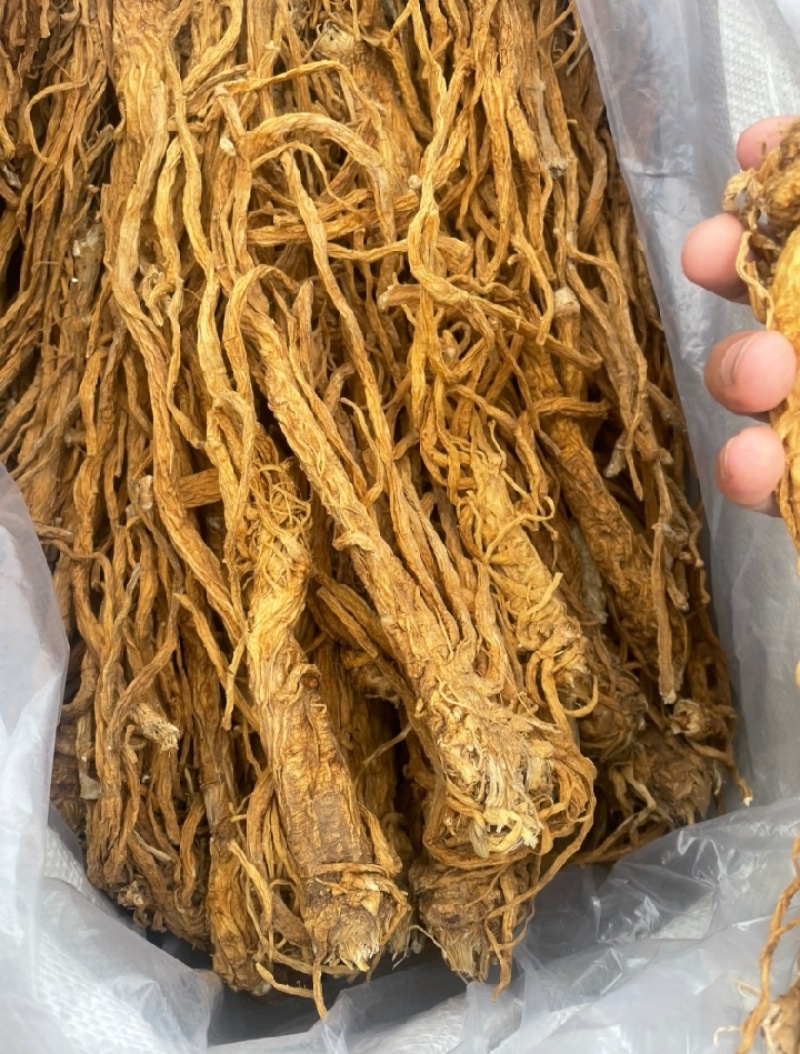 独活水洗货产地直供，量大从优，物美价廉，长期供货欢迎选购