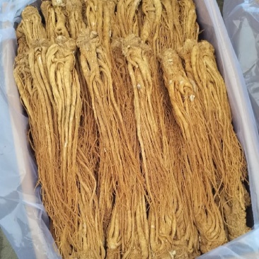甘肃岷县当归整条，产地源头批发，量大从优，保质保量