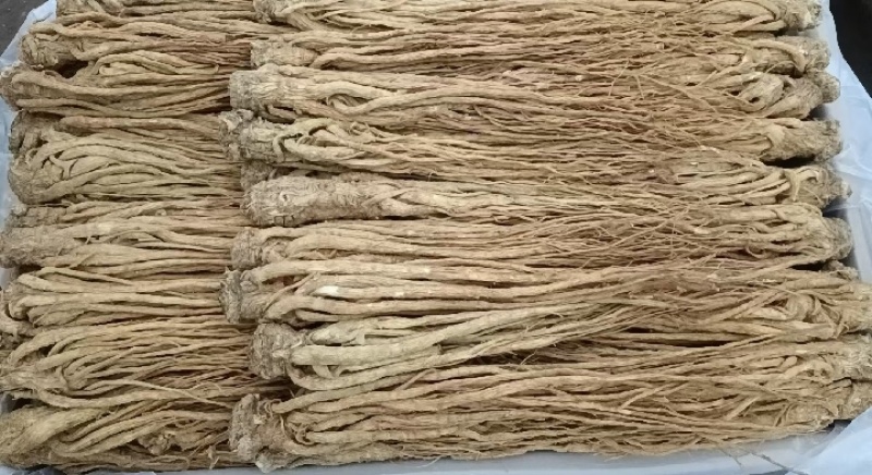 甘肃岷县当归整条，产地源头批发，量大从优，保质保量