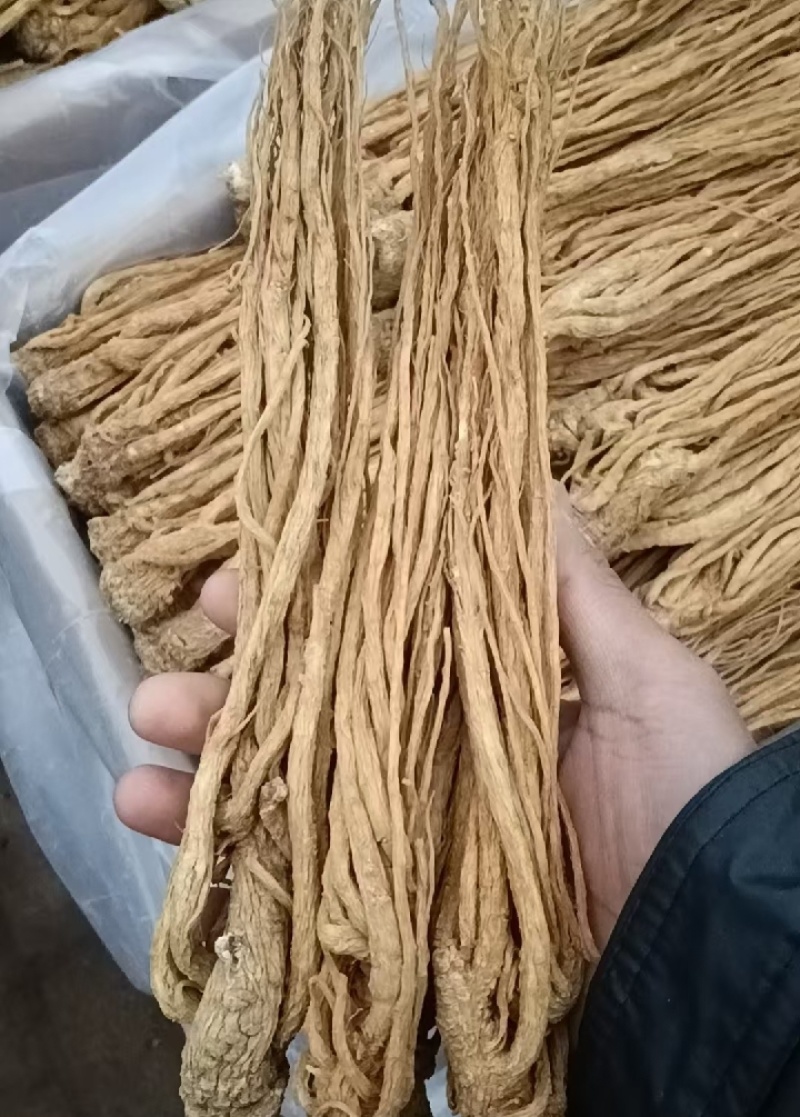 甘肃岷县当归整条，产地源头批发，量大从优，保质保量