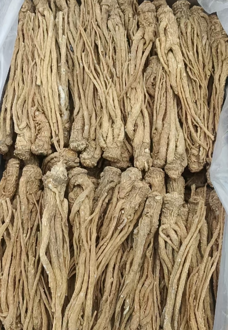 甘肃岷县当归整条，产地源头批发，量大从优，保质保量