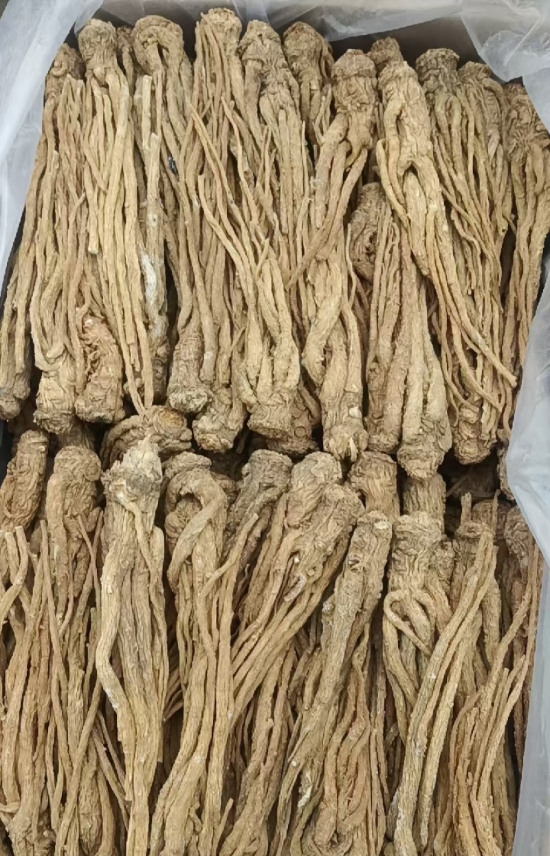 甘肃岷县当归整条，产地源头批发，量大从优，保质保量