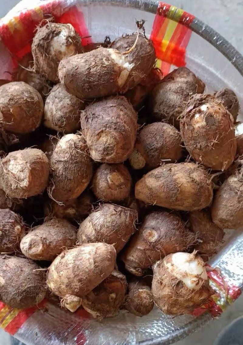 【芋头8520/山东芋头】一手货源/常年批发/量大从优