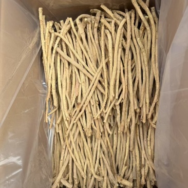 甘肃关防风去头去尾精品货，常年大量供应产地直销，量大从优
