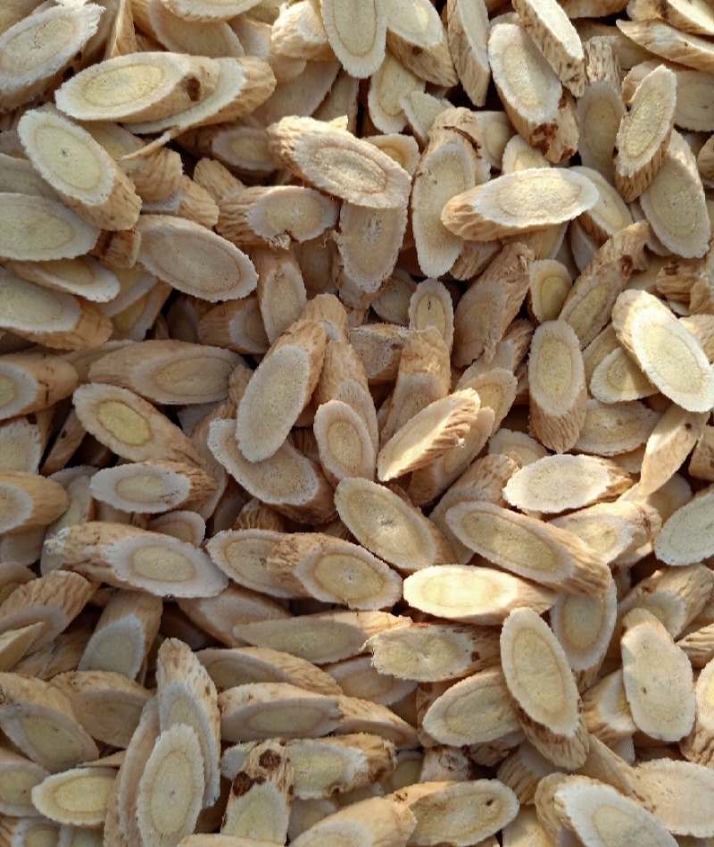 甘肃地产黄芪指甲片，保质保量，量大从优，源头直销