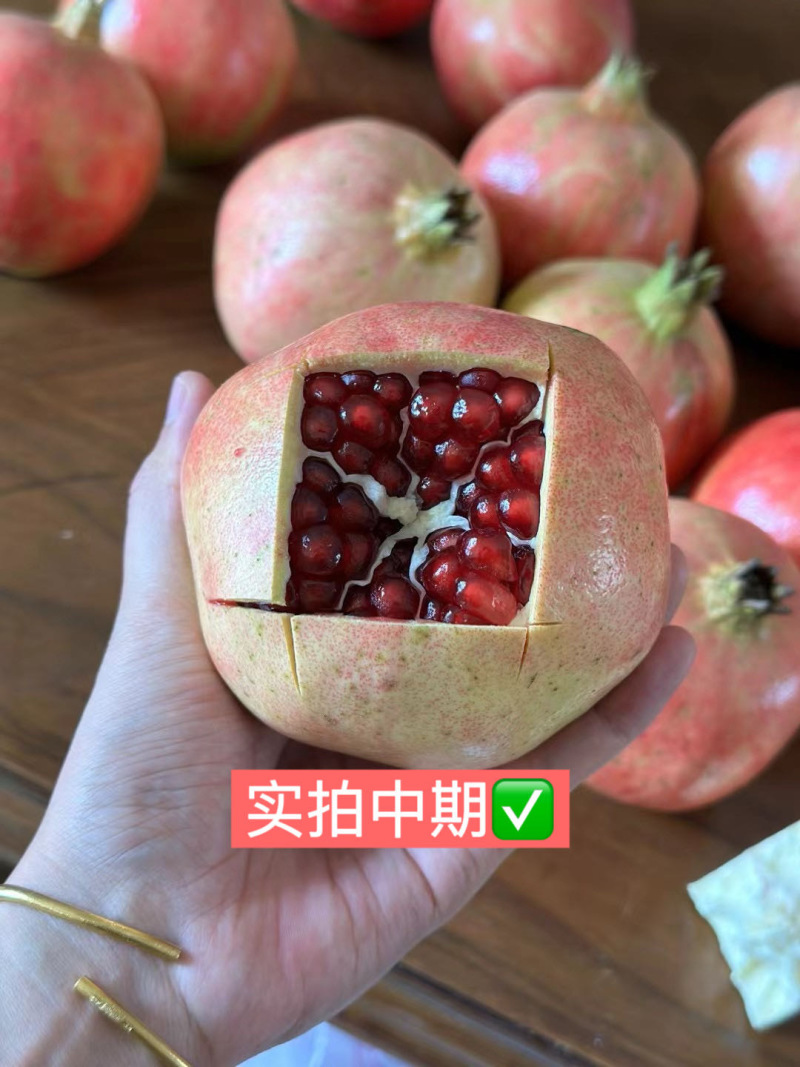 四川会理突尼斯软籽石榴，全平台一件代发