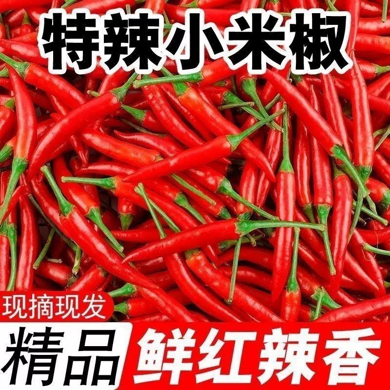 新鲜小米辣魔鬼辣椒小米椒蔬菜小米辣鲜椒新鲜辣椒特辣现货代发