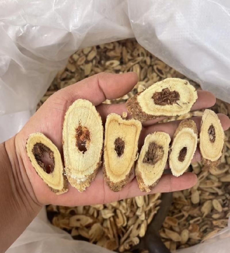 甘肃产地野生黄芪，保质保量，一手货源，现货先发，可视频看