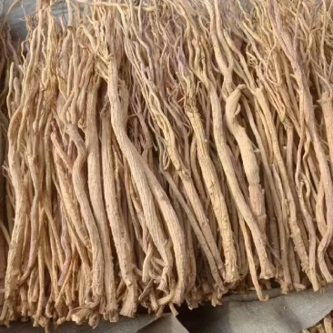 甘肃产地关防风去头货，大量供货，现货现发保质保量