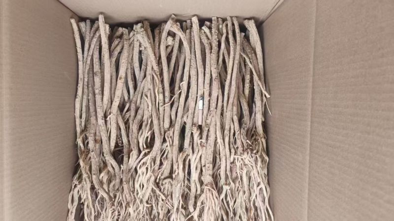 甘肃产地关防风去头货，大量供货，现货现发保质保量